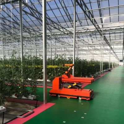 Venlo Multi Span Glass Greenhouse with Shipping Cost and Estimated Delivery Time