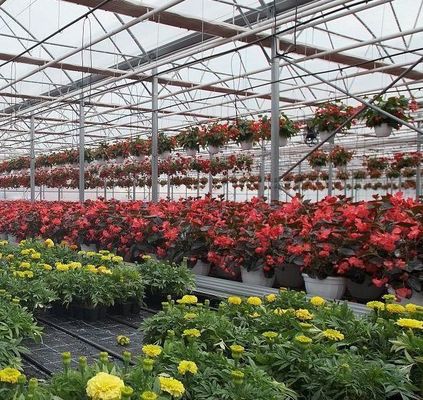 Double-Arch Greenhouse for Tomato Cultivation Initial Payment and Soilless Culture