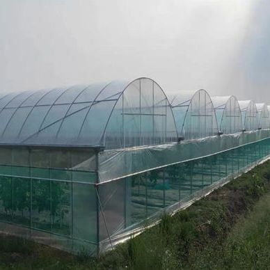 Double-Arch Greenhouse for Tomato Cultivation Initial Payment and Soilless Culture