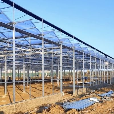Venlo Tempered Glass Greenhouse with Hydroponics Growing System Large and US Currency