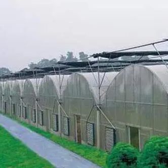2000.000kg Package Gross Weight Single-Pan Hydroponic System for Double-Arch Greenhouse