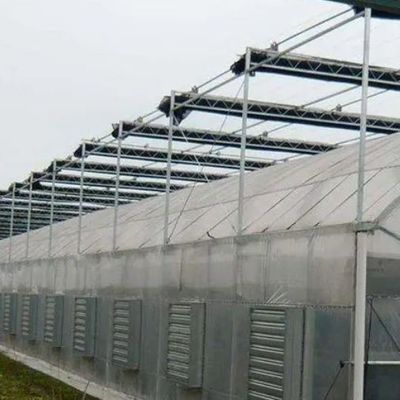 2000.000kg Package Gross Weight Single-Pan Hydroponic System for Double-Arch Greenhouse