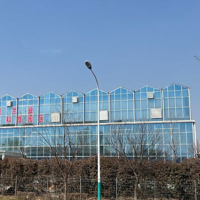 JX-A0018 Glass Greenhouse for Tomato Cultivation 30 Day Return Refunds Durable Easy