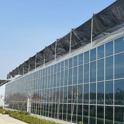 JX-A0018 Glass Greenhouse for Tomato Cultivation 30 Day Return Refunds Durable Easy