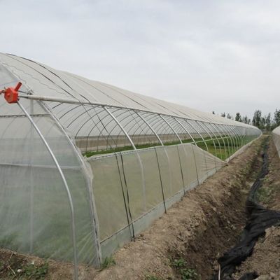 Temporary Heating Film Greenhouse Vegetable and Flower Hydroponic System for Planting