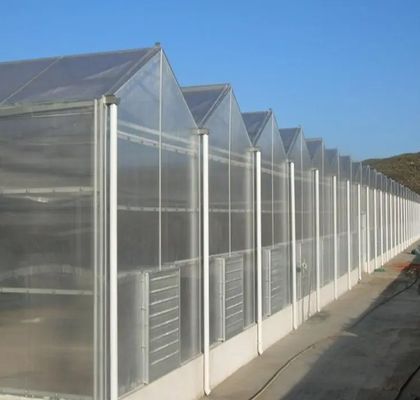 Double-Arch Film Greenhouse for Cucumber Growth Multi-Span and Sturdy Film Cover