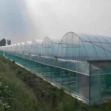 Anti-Drip Fogging Hydroponic System Suitable for Overwintering Poultry and Livestock