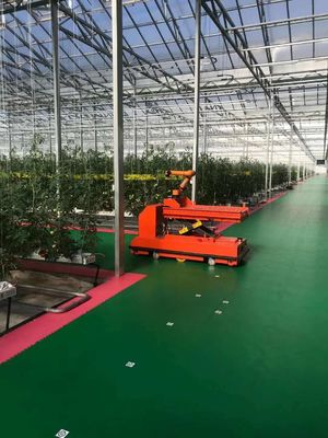 Temperature-Controlled Planting Facility by Juxiang and Affordable Planting Solution
