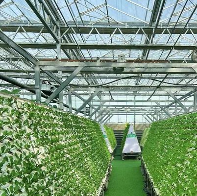 Dual-Layer Greenhouse for Tomato Farming 20GP Package Size 12.09cm * 2.35cm * 2.39cm