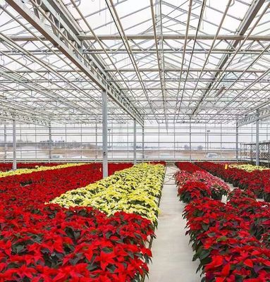 Dual-Layer Greenhouse for Tomato Farming 20GP Package Size 12.09cm * 2.35cm * 2.39cm
