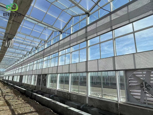 Customizable Size and Juxiang prime s Anti-Drip Fogging Structure for Seedlings Perfect