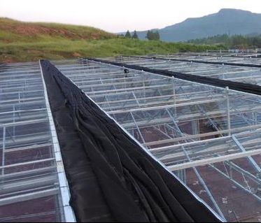 30-Day Return Fog Prevention System for Flower Production in Arched Roof Greenhouse