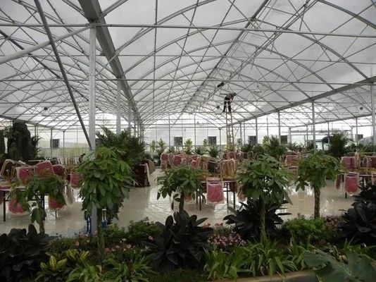 Wet Curtain Hydroponic Seedling Greenhouse with Customization and Package Size Options