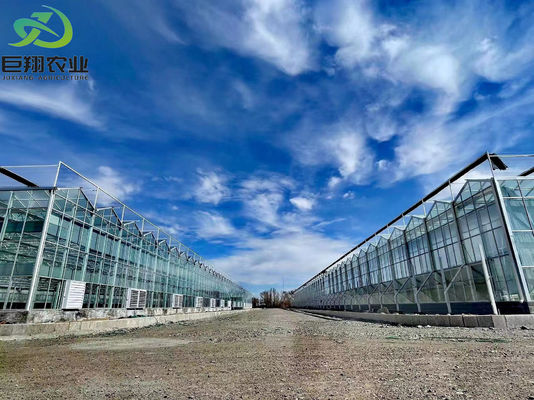 Wet Curtain Hydroponic Seedling Greenhouse with Customization and Package Size Options