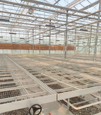 Hydroponics Stromal Humidity Control Greenhouse with Arched Roof and Multi-Span Design