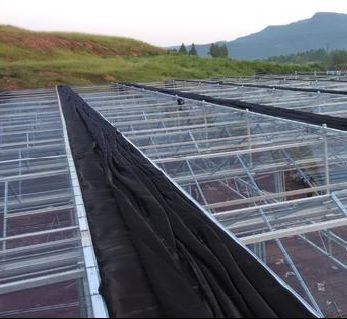 Hydroponics Stromal Humidity Control Greenhouse with Arched Roof and Multi-Span Design