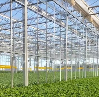 Hydroponics Stromal Humidity Control Greenhouse with Arched Roof and Multi-Span Design