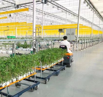 Single or Multi Span Juxiang Dual-Layer Film Greenhouse for Flower Production Green