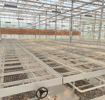 Single or Multi Span Juxiang Dual-Layer Film Greenhouse for Flower Production Green