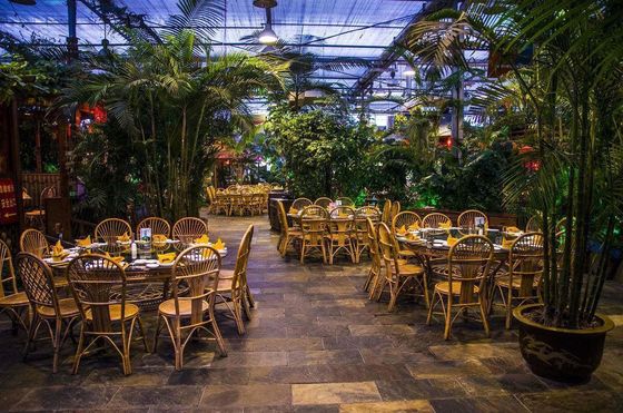 Outdoor Shading Glasshouse for Humidity Control in Commercial Greenhouse Production