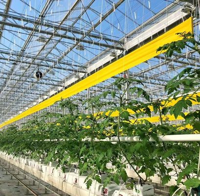 Warm Air Blower/Hot Water Heating Double-Arch Hydroponics Greenhouse for Flower and Tomato