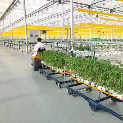 Warm Air Blower/Hot Water Heating Double-Arch Hydroponics Greenhouse for Flower and Tomato