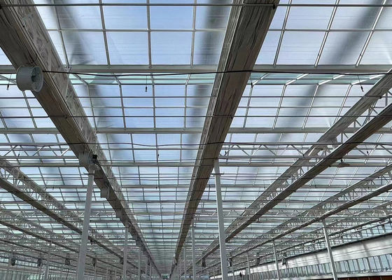 Indoor Shading Hydroponic Seedling Facility with Large-Scale Capacity and Cultivation