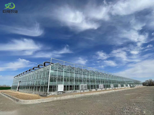 Indoor Shading Hydroponic Seedling Facility with Large-Scale Capacity and Cultivation