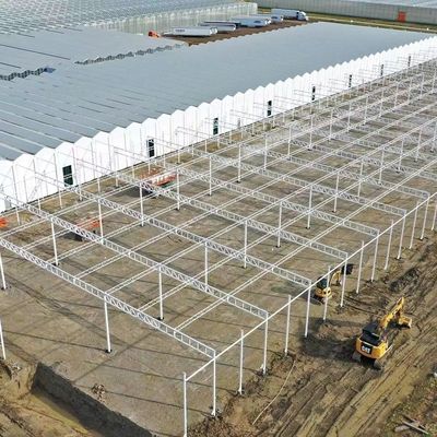 Steel Structure Greenhouse for Pepper Production using Hydroponics Cultivation Method