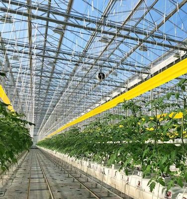 Steel Structure Greenhouse for Pepper Production using Hydroponics Cultivation Method