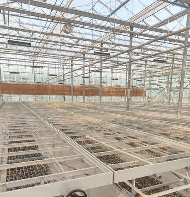 Steel Structure Greenhouse for Pepper Production using Hydroponics Cultivation Method