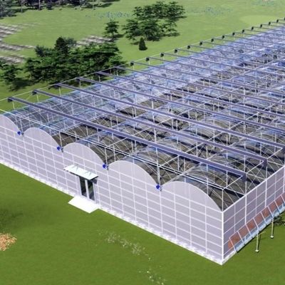 Steel Structure Greenhouse for Pepper Production using Hydroponics Cultivation Method