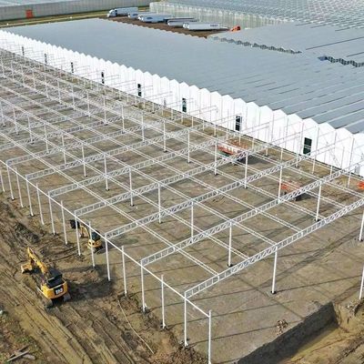 JX-H0068 Anti-Drip Technology Greenhouse for Flower and Tomato Customization Offered