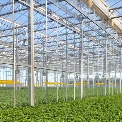 JX-H0068 Anti-Drip Technology Greenhouse for Flower and Tomato Customization Offered