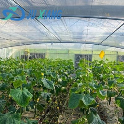 JX-H0068 Anti-Drip Technology Greenhouse for Flower and Tomato Customization Offered
