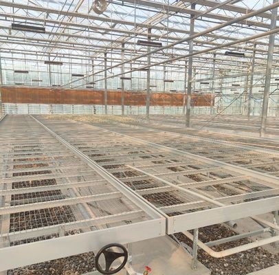 -Made Hydroponic Greenhouse with Anti-Drip Technology Full Payment Growing Vegetables