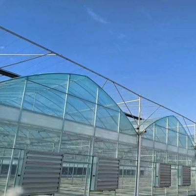 Double-Arch Structure -Made Hydroponic Greenhouse for Mixed Farming Production Needs