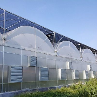 Double-Arch Structure -Made Hydroponic Greenhouse for Mixed Farming Production Needs