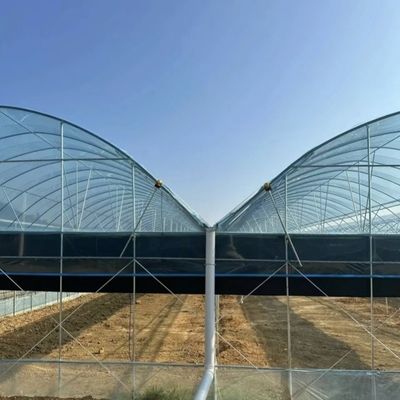 Double-Arch Structure -Made Hydroponic Greenhouse for Mixed Farming Production Needs