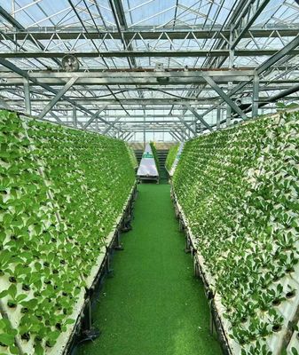 Pepper Cultivation Dual-Layer Film Greenhouse 12.09cm * 2.35cm * 2.39cm Package Size