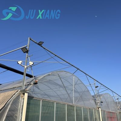 Pepper Cultivation Dual-Layer Film Greenhouse 12.09cm * 2.35cm * 2.39cm Package Size