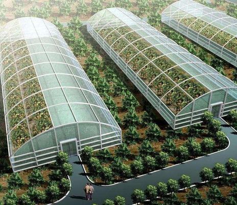 Pepper Cultivation Dual-Layer Film Greenhouse 12.09cm * 2.35cm * 2.39cm Package Size