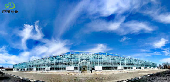 Juxiang's Humidity-Controlled Planting Facility Package Gross Weight 2000.000kg Solution