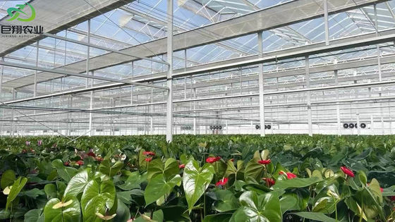 Customized Request Spray Cooling Planting House for Seedlings Steel Structure Customization