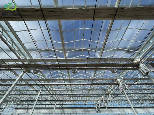 Double Layer Illuminated Growing Structure for Hydroponic Seedlings in Multi Span