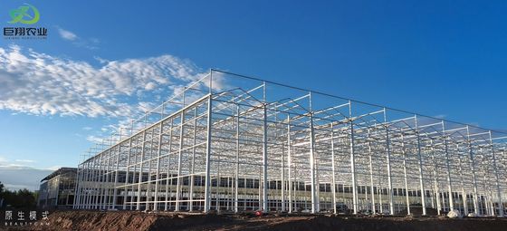 Tunnel Cultivation Method Multi Span Greenhouse with Hot-DIP Galvanized Steel Pipe