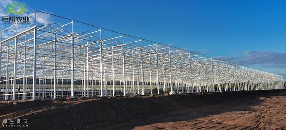 Tunnel Cultivation Method Multi Span Greenhouse with Hot-DIP Galvanized Steel Pipe