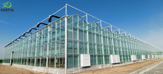 Tunnel Cultivation Method Multi Span Greenhouse with Hot-DIP Galvanized Steel Pipe