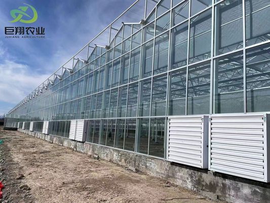 Tunnel Cultivation Method Multi Span Greenhouse with Hot-DIP Galvanized Steel Pipe