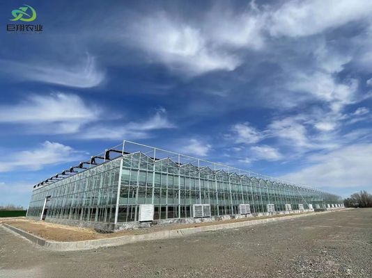 Tunnel Cultivation Method Multi Span Greenhouse with Hot-DIP Galvanized Steel Pipe